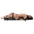 You2Toys - Bondage Rõõmulaud: kaasaskantav komplekt - 13 osa