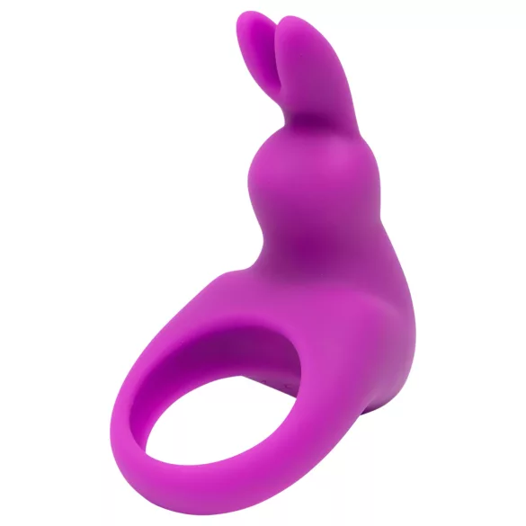 Happyrabbit - vibreeriv peeniserõngas hoiukarbiga - lilla