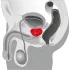 You2Toys - eesnäärme vibraator - pöörlev stimulaator - must