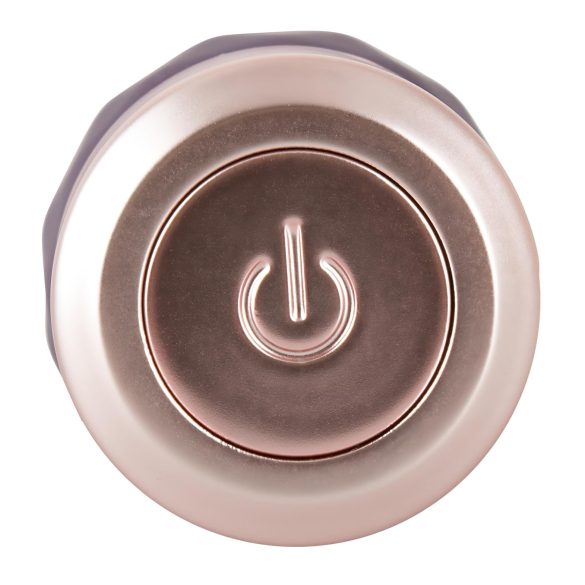 You2Toys - vibraator pulgakujuline - laetav - lilla