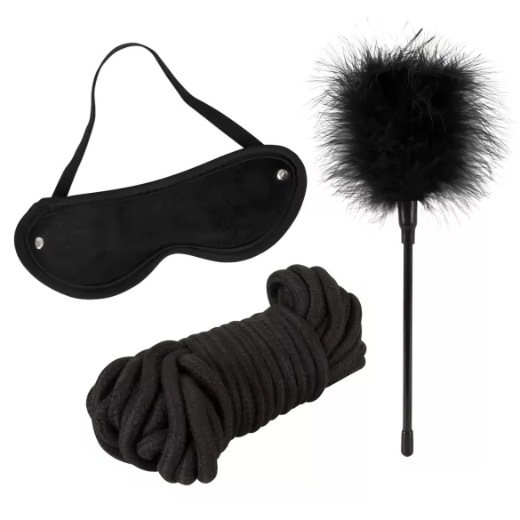 tease & please - Master & Slave - premium BDSM seikluskomplekt paaridele (13-osaline)
