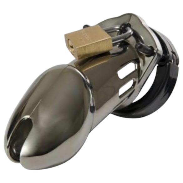 CB-6000 - luksuslik peenisepuur lukuga (kroom)