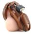 CB-6000 - luksuslik peenise puur lukuga