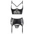 Abierta Fina - särav pitsiline pesukomplekt (must) - 85C/L