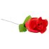 Panty Rose - roosi sisse peidetud stringid - punane (S-L)