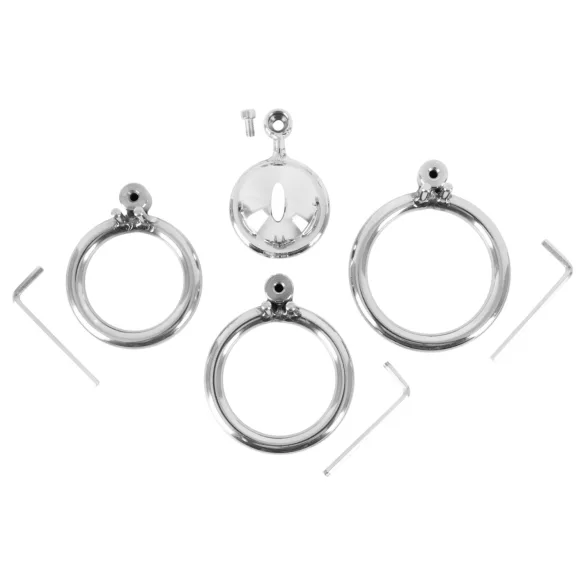 fetish collection - mini peenisekorpus 3 vahetatava munandiringiga (hõbedane)