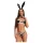 Obsessive Night Bunny - neljaosaline jänese kostüüm naistele (must)
