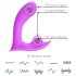 Desirel Insider - G-punkti ja prostaatavibraator - lilla