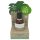 Coconutoil - Bio karvaeemaldus- ja habemeajamisjärgne õli (50ml)