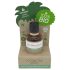 Coconutoil - Bio karvaeemaldus- ja habemeajamisjärgne õli (50ml)