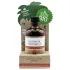 Coconutoil - intiim- ja massaažiõli - mahe - 80 ml