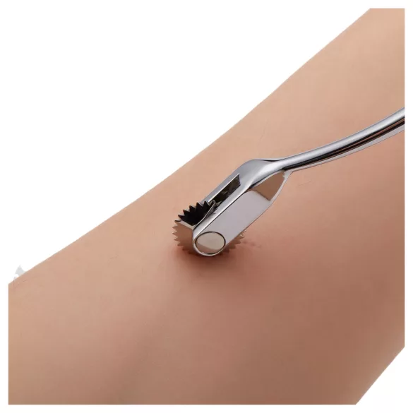 Roomfun - Wartenbergi ratas (hõbedane)