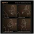 Roomfun - elektriline šokiplaat (must)