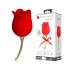 Pretty Love Rose Lover - 2in1 kliitorivibraator (punane)