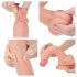 Lovetoy Nature Cock - realistlik iminapaga dildo - 21cm (naturaalne)