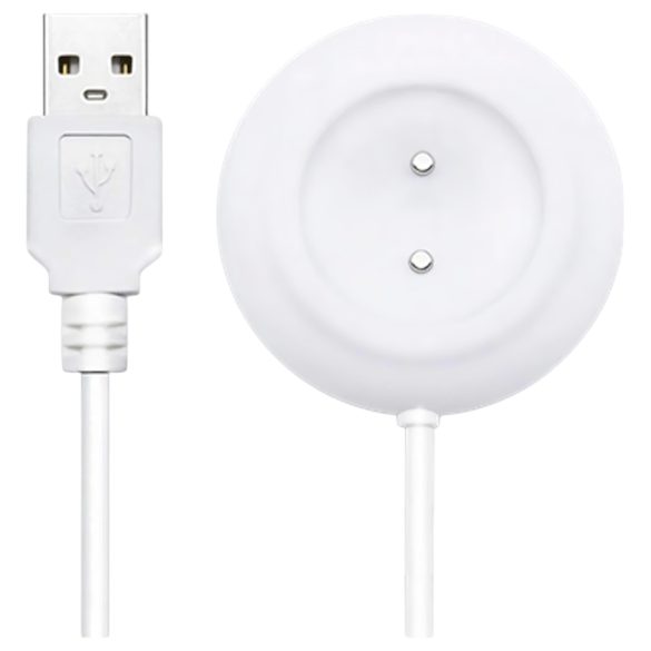 Lovense Ambi magnetiline USB laadimiskaabel (valge)