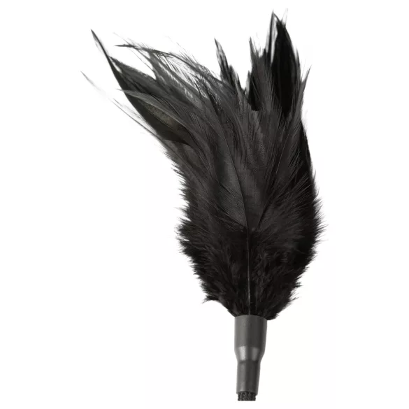 Sei Mio - piits ja silitaja - must