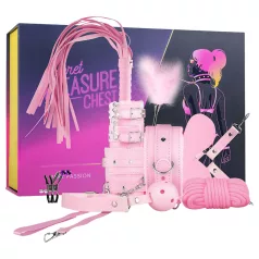   Secret Pleasure Chest - edasijõudnute BDSM‑komplekt - 14-osaline (roosa)