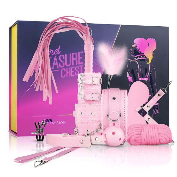 Secret Pleasure Chest - edasijõudnud BDSM komplekt - 14 osa (roosa)