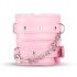Secret Pleasure Chest - edasijõudnud BDSM komplekt - 14 osa (roosa)