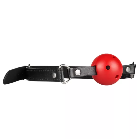 Secret Pleasure Chest - edasijõudnute BDSM komplekt - 10-osaline (punane)