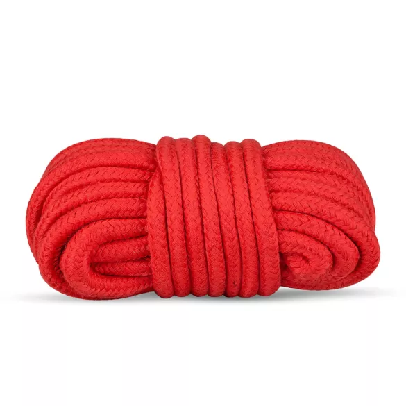 Secret Pleasure Chest - BDSM komplekt edasijõudnutele - 10 osaline - punane