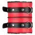 Secret Pleasure Chest - edasijõudnute BDSM komplekt - 10-osaline (punane)