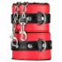 Secret Pleasure Chest - edasijõudnute BDSM komplekt - 10-osaline (punane)
