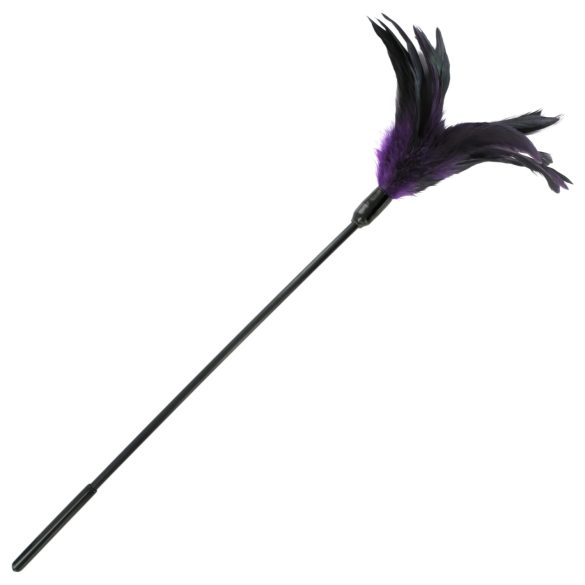 Pikk sulgne kirg (violetne-must)