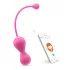 Magic Motion Kegel Master - nutikad tupekuulid duo (roosa)