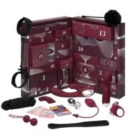 Sinful Pleasure Erotic Advent Calendar Advendikalender 2026 | Desirel.ee seksipoes